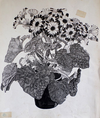 Flower drawing for Fisons
